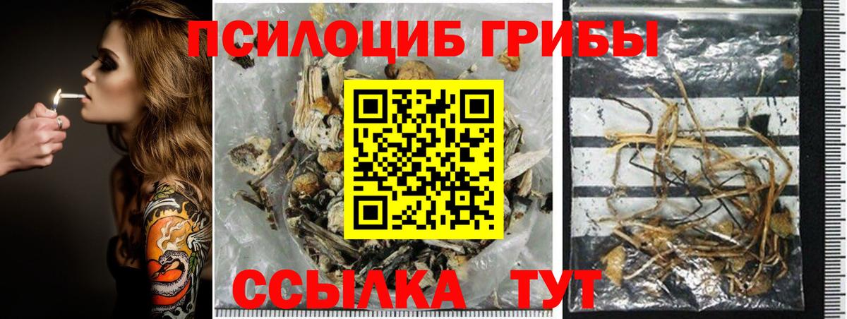 Псилоцибиновые грибы Magic Shrooms  Вход с VPN  Дагестанские Огни 